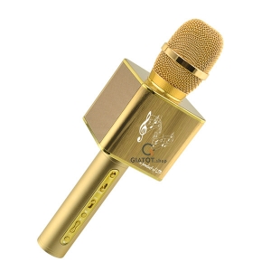 Micro Karaoke Kèm Loa Bluetooth LTP-YS12