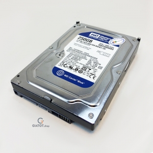 Ổ cứng gắn trong HDD Western Digital 250GB chính hãng