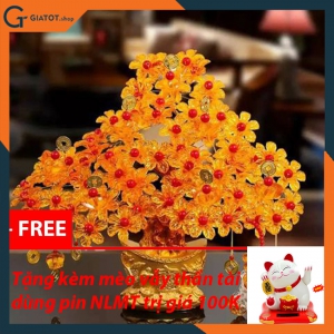 Combo cây kim tiền phát tài phát lộc đế thỏi vàng tặng mèo vẫy thần tài